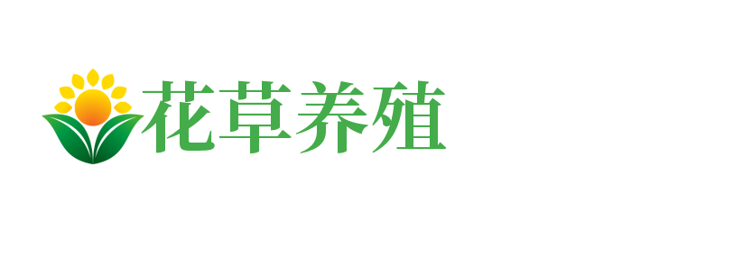 睦化乡_山东省滨州市沾化区冒威答金属包装股份公司